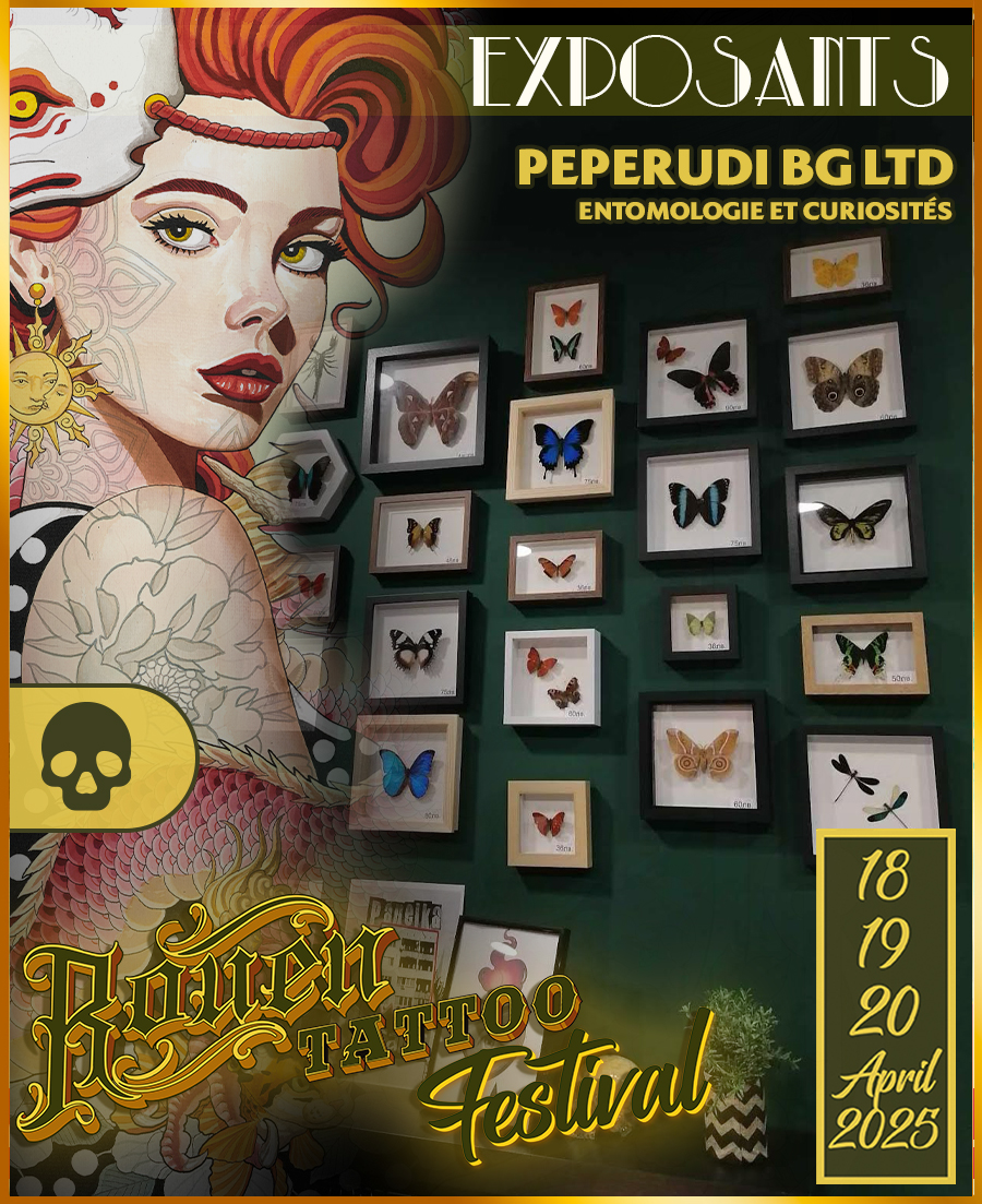 peperudi